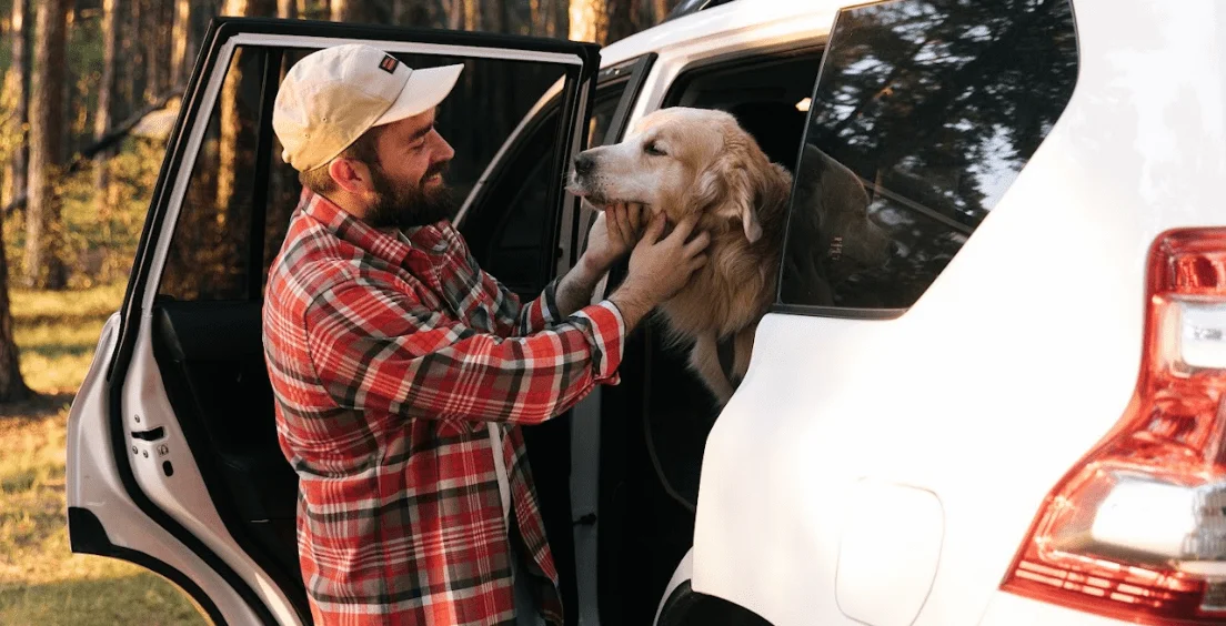 Anatolian Shepherd Dogs Dog Car Seat Belt for GMC Sierra