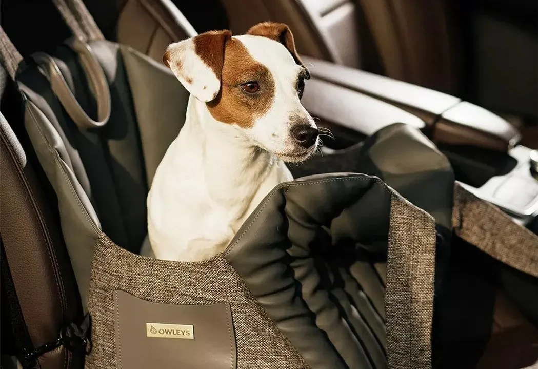 Tesla Model 3 Dog Carrier Car Seat for Lowchen